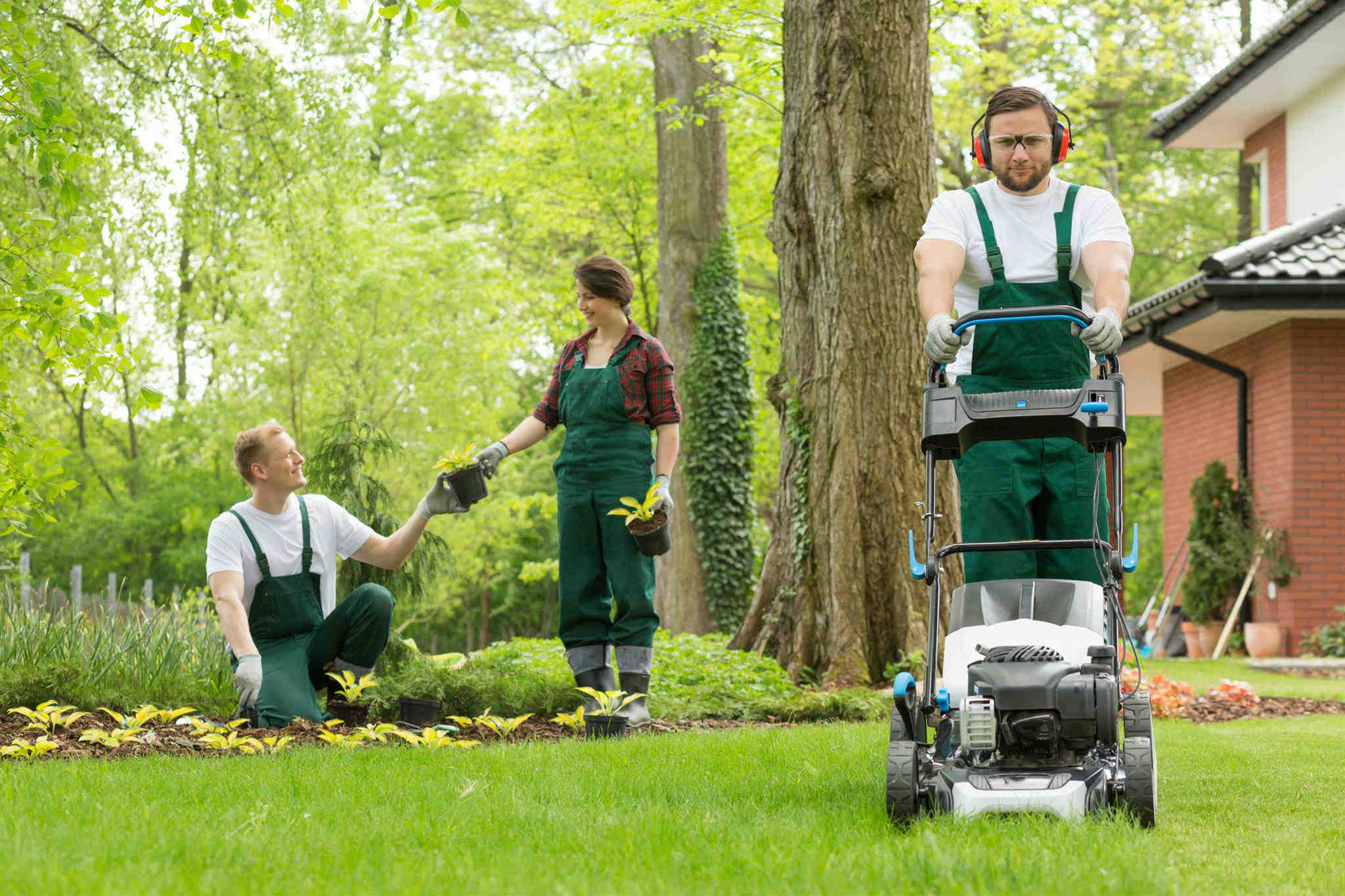 Lawn maintenance 