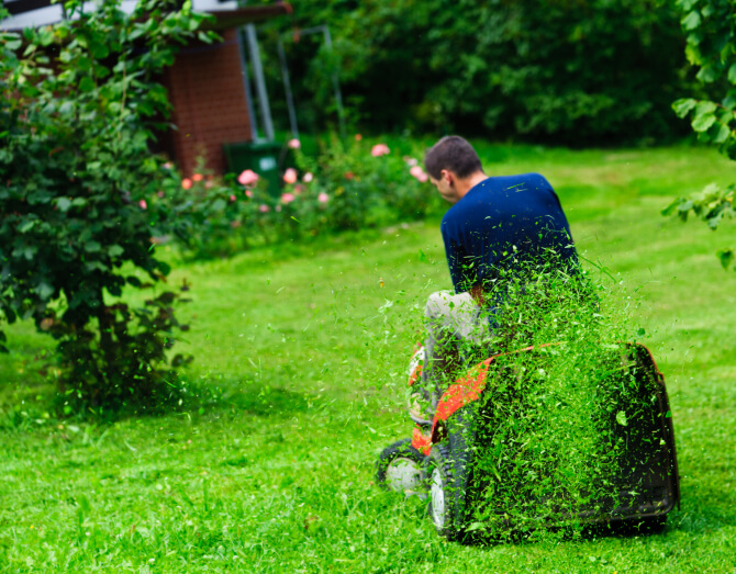 Quality lawn service
